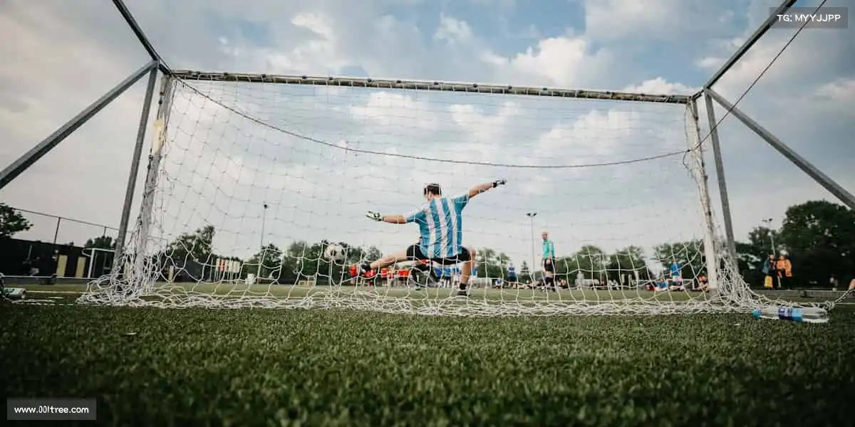 DB电竞官方网站举起杠铃,扛起的不只是重量,更是对自我的突破🏋️